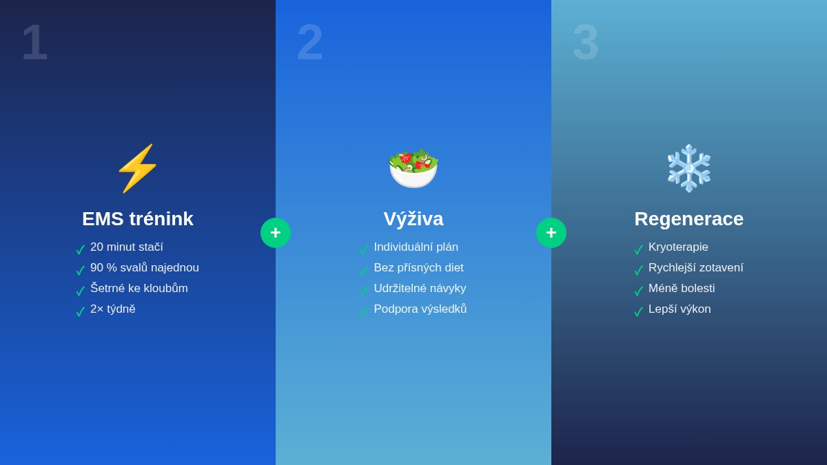 Tři pilíře komplexního přístupu: EMS trénink, výživa a regenerace