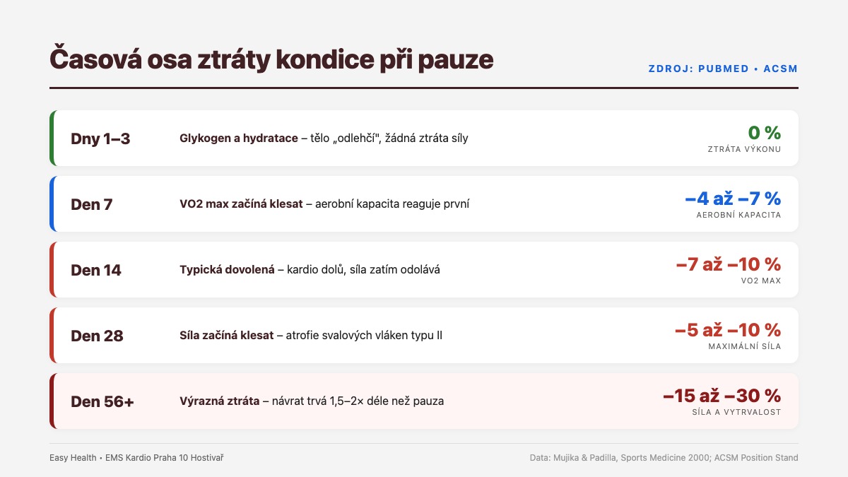 Časová osa ztráty kondice: 3, 7, 14, 28 a 56+ dní pauzy – kolik procent VO2 max a síly ztrácíte