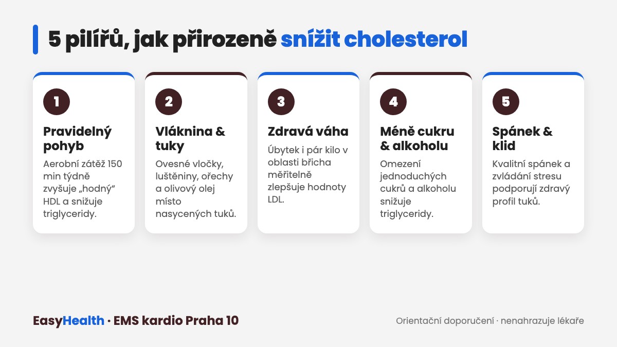 Infografika: 5 pilířů, jak přirozeně snížit cholesterol – pohyb, vláknina, zdravá váha, méně cukru a alkoholu, spánek