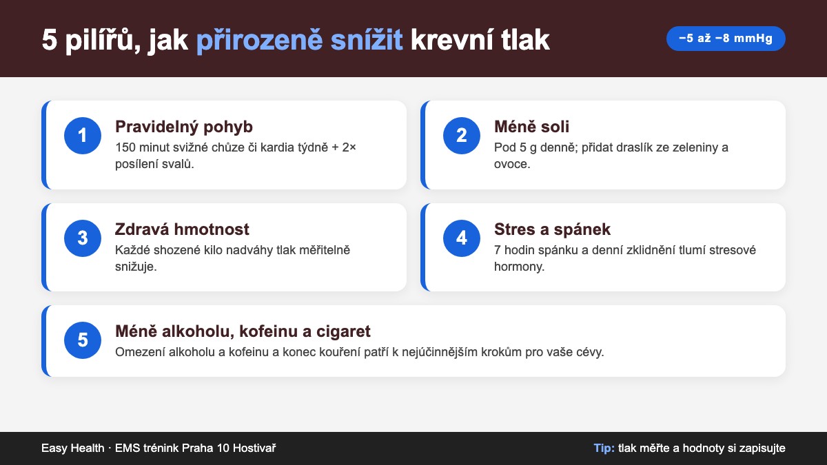 5 pilířů, jak přirozeně snížit vysoký krevní tlak – infografika