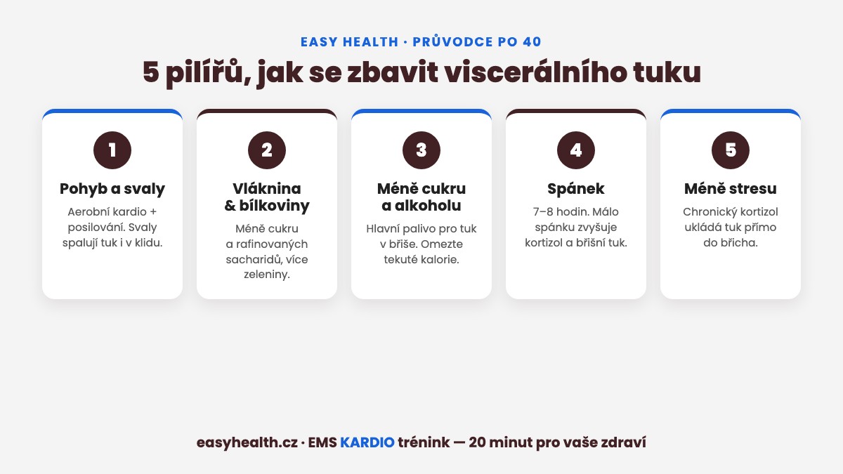 Infografika: 5 pilířů jak se zbavit viscerálního tuku po 40