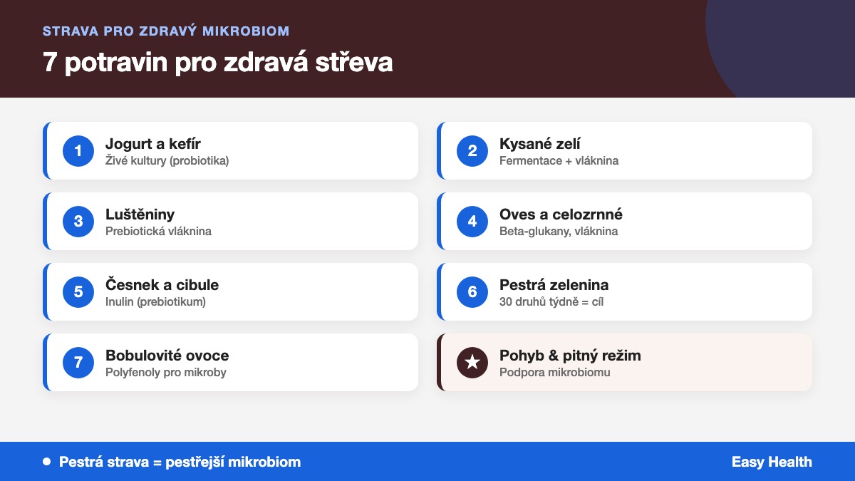 Infografika: 7 potravin pro zdravá střeva a podporu střevního mikrobiomu