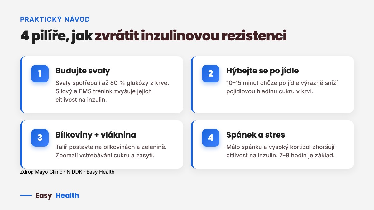 4 pilíře jak zvrátit inzulinovou rezistenci – svaly, pohyb po jídle, bílkoviny a vláknina, spánek